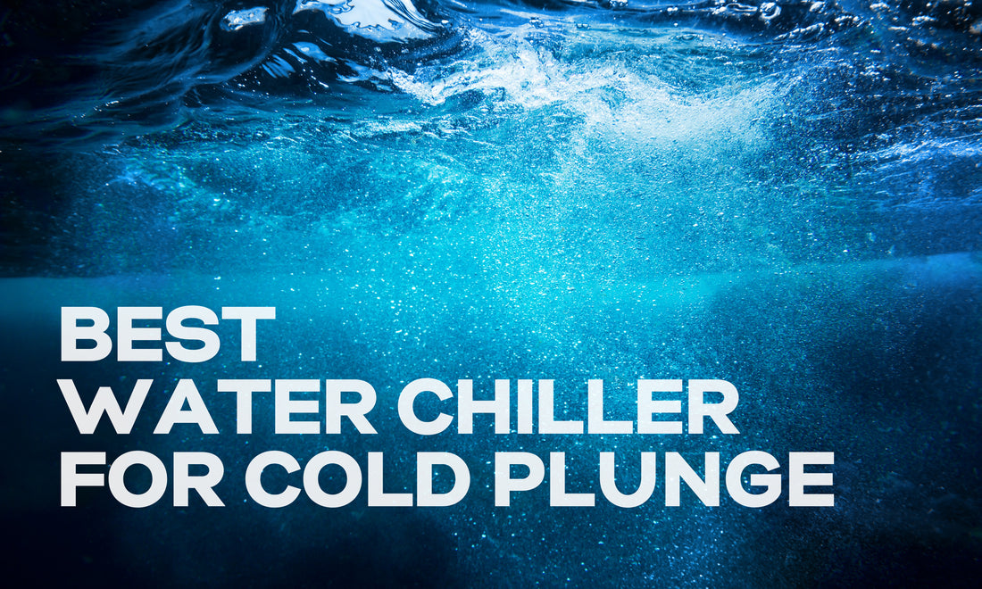 Cover Image for best water chiller for cold plunge blog
