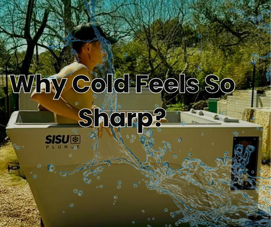 Why Cold Feels So Sharp?